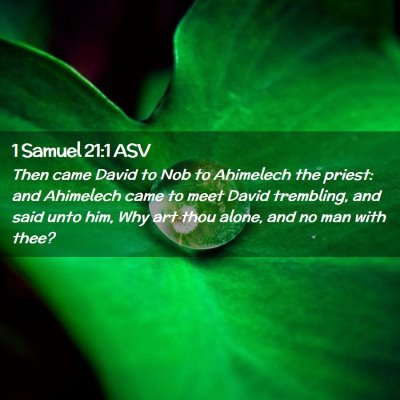 Picture 02 - 1 Samuel 21:1 ASV - Then came David to Nob to Ahimelech the priest: - Bible Verse Picture