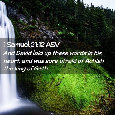 Picture 02 - 1 Samuel 21:12 ASV - And David laid up these words in his heart, and - Bible Verse Picture