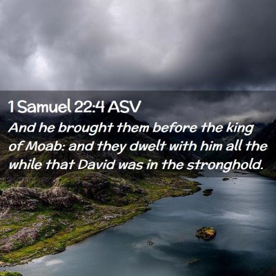 Picture 02 - 1 Samuel 22:4 ASV - And he brought them before the king of Moab: and - Bible Verse Picture