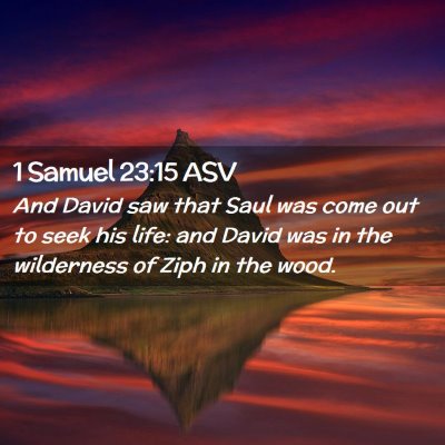 Picture 02 - 1 Samuel 23:15 ASV - And David saw that Saul was come out to seek his - Bible Verse Picture