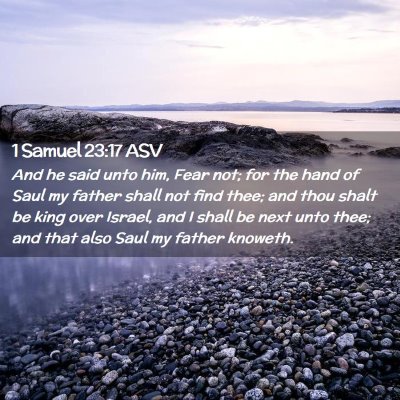 Picture 02 - 1 Samuel 23:17 ASV - And he said unto him, Fear not; for the hand of - Bible Verse Picture
