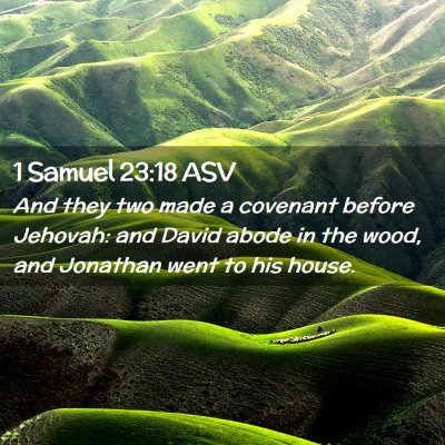 Picture 02 - 1 Samuel 23:18 ASV - And they two made a covenant before Jehovah: and - Bible Verse Picture