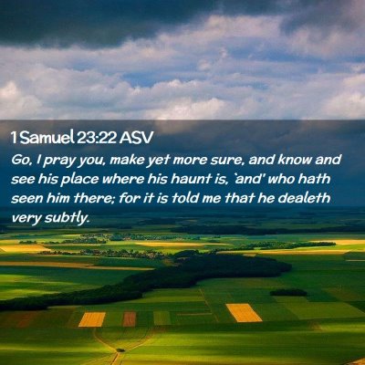 Picture 02 - 1 Samuel 23:22 ASV - Go, I pray you, make yet more sure, and know and - Bible Verse Picture