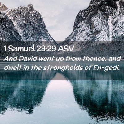 Picture 02 - 1 Samuel 23:29 ASV - And David went up from thence, and dwelt in the - Bible Verse Picture