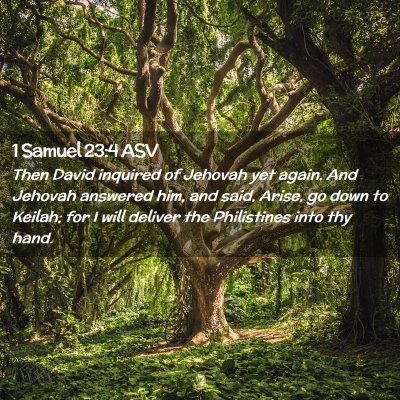 Picture 02 - 1 Samuel 23:4 ASV - Then David inquired of Jehovah yet again. And - Bible Verse Picture