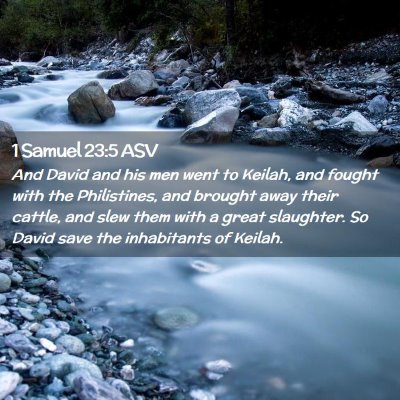 Picture 02 - 1 Samuel 23:5 ASV - And David and his men went to Keilah, and fought - Bible Verse Picture