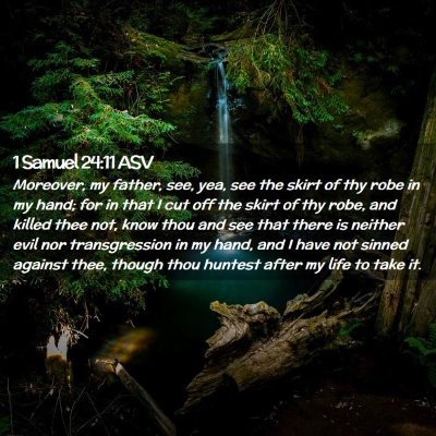 Picture 02 - 1 Samuel 24:11 ASV - Moreover, my father, see, yea, see the skirt of - Bible Verse Picture