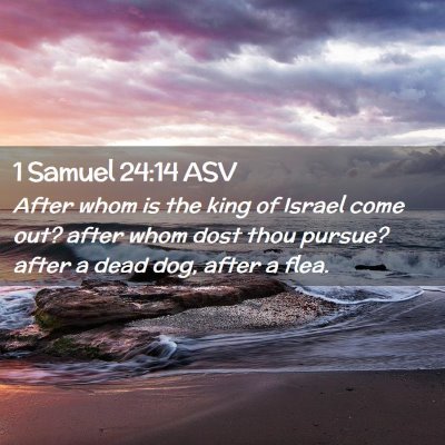 Picture 02 - 1 Samuel 24:14 ASV - After whom is the king of Israel come out? after - Bible Verse Picture