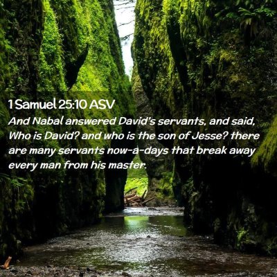 Picture 02 - 1 Samuel 25:10 ASV - And Nabal answered David's servants, and said, - Bible Verse Picture