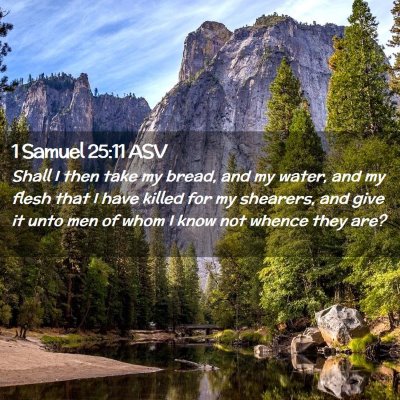 Picture 02 - 1 Samuel 25:11 ASV - Shall I then take my bread, and my water, and my - Bible Verse Picture