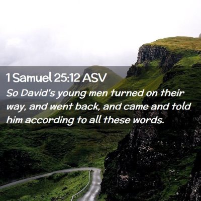 Picture 02 - 1 Samuel 25:12 ASV - So David's young men turned on their way, and - Bible Verse Picture