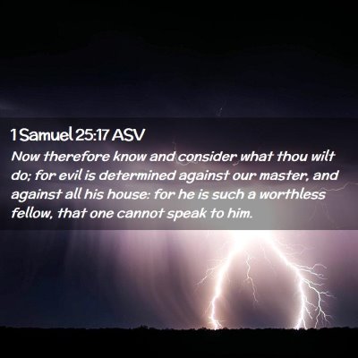 Picture 02 - 1 Samuel 25:17 ASV - Now therefore know and consider what thou wilt - Bible Verse Picture