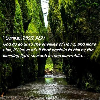 Picture 02 - 1 Samuel 25:22 ASV - God do so unto the enemies of David, and more - Bible Verse Picture
