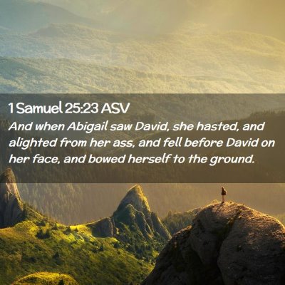Picture 02 - 1 Samuel 25:23 ASV - And when Abigail saw David, she hasted, and - Bible Verse Picture