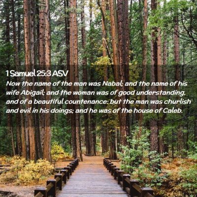Picture 02 - 1 Samuel 25:3 ASV - Now the name of the man was Nabal; and the name - Bible Verse Picture