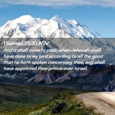 Picture 02 - 1 Samuel 25:30 ASV - And it shall come to pass, when Jehovah shall - Bible Verse Picture
