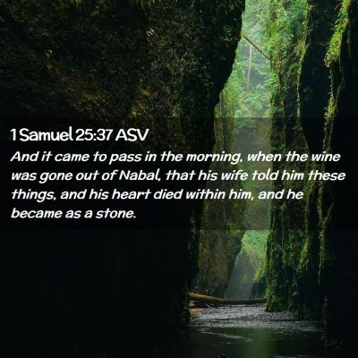 Picture 02 - 1 Samuel 25:37 ASV - And it came to pass in the morning, when the wine - Bible Verse Picture