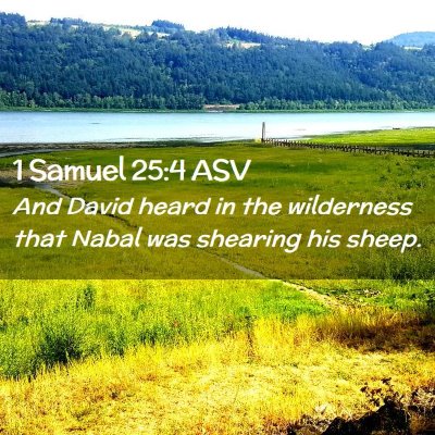Picture 02 - 1 Samuel 25:4 ASV - And David heard in the wilderness that Nabal was - Bible Verse Picture