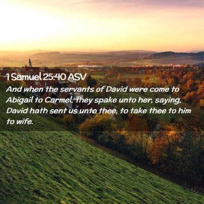 Picture 02 - 1 Samuel 25:40 ASV - And when the servants of David were come to - Bible Verse Picture