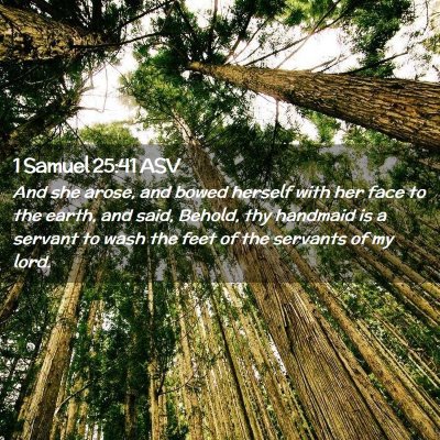 Picture 02 - 1 Samuel 25:41 ASV - And she arose, and bowed herself with her face to - Bible Verse Picture