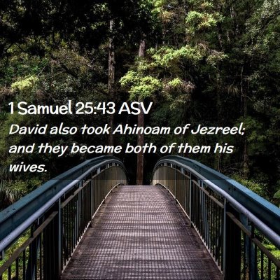 Picture 02 - 1 Samuel 25:43 ASV - David also took Ahinoam of Jezreel; and they - Bible Verse Picture