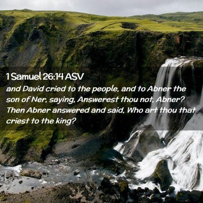 Picture 02 - 1 Samuel 26:14 ASV - and David cried to the people, and to Abner the - Bible Verse Picture