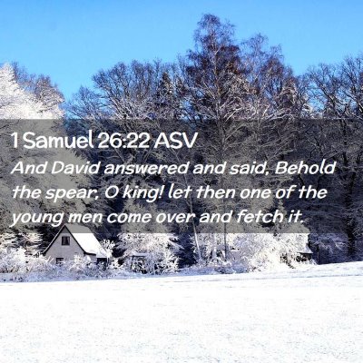 Picture 02 - 1 Samuel 26:22 ASV - And David answered and said, Behold the spear, O - Bible Verse Picture