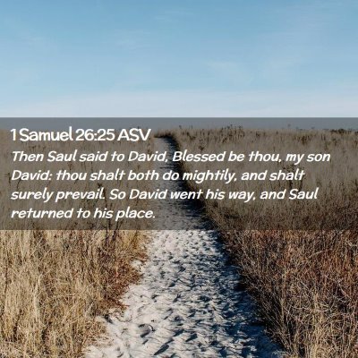 Picture 02 - 1 Samuel 26:25 ASV - Then Saul said to David, Blessed be thou, my son - Bible Verse Picture
