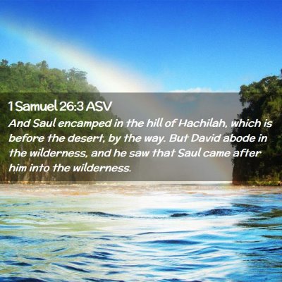 Picture 02 - 1 Samuel 26:3 ASV - And Saul encamped in the hill of Hachilah, which - Bible Verse Picture