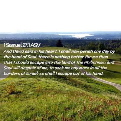 Picture 02 - 1 Samuel 27:1 ASV - And David said in his heart, I shall now perish - Bible Verse Picture