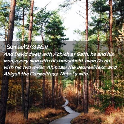 Picture 02 - 1 Samuel 27:3 ASV - And David dwelt with Achish at Gath, he and his - Bible Verse Picture