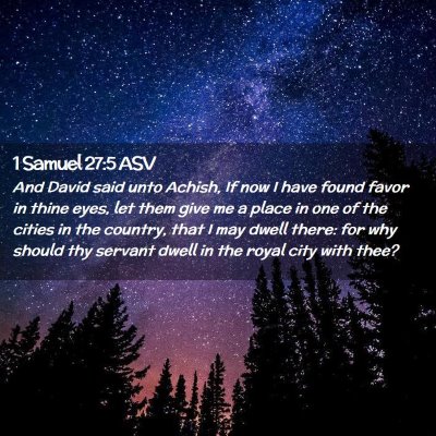 Picture 02 - 1 Samuel 27:5 ASV - And David said unto Achish, If now I have found - Bible Verse Picture