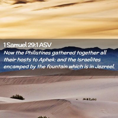 Picture 02 - 1 Samuel 29:1 ASV - Now the Philistines gathered together all their - Bible Verse Picture