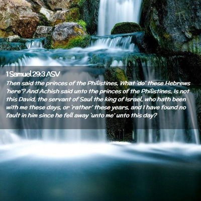 Picture 02 - 1 Samuel 29:3 ASV - Then said the princes of the Philistines, What - Bible Verse Picture