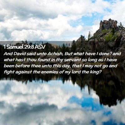 Picture 02 - 1 Samuel 29:8 ASV - And David said unto Achish, But what have I done? - Bible Verse Picture
