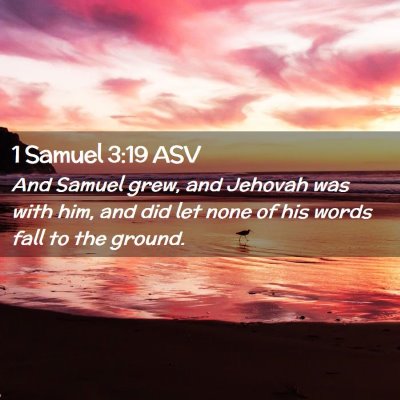 Picture 02 - 1 Samuel 3:19 ASV - And Samuel grew, and Jehovah was with him, and - Bible Verse Picture