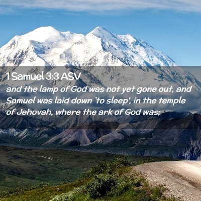 Picture 02 - 1 Samuel 3:3 ASV - and the lamp of God was not yet gone out, and - Bible Verse Picture