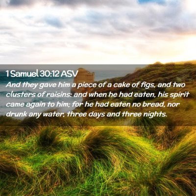 Picture 02 - 1 Samuel 30:12 ASV - And they gave him a piece of a cake of figs, and - Bible Verse Picture