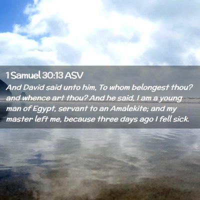 Picture 02 - 1 Samuel 30:13 ASV - And David said unto him, To whom belongest thou? - Bible Verse Picture