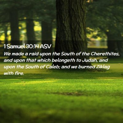 Picture 02 - 1 Samuel 30:14 ASV - We made a raid upon the South of the Cherethites, - Bible Verse Picture