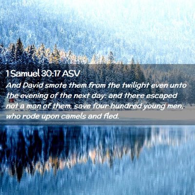 Picture 02 - 1 Samuel 30:17 ASV - And David smote them from the twilight even unto - Bible Verse Picture