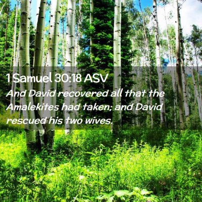 Picture 02 - 1 Samuel 30:18 ASV - And David recovered all that the Amalekites had - Bible Verse Picture