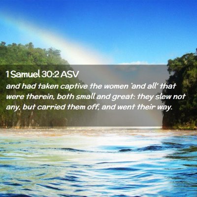 Picture 02 - 1 Samuel 30:2 ASV - and had taken captive the women `and all' that - Bible Verse Picture