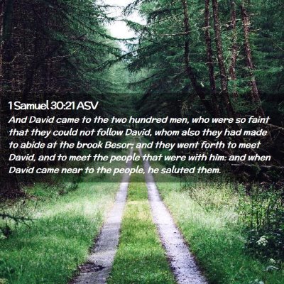 Picture 02 - 1 Samuel 30:21 ASV - And David came to the two hundred men, who were - Bible Verse Picture