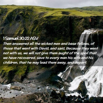 Picture 02 - 1 Samuel 30:22 ASV - Then answered all the wicked men and base - Bible Verse Picture