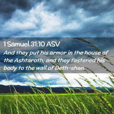 Picture 02 - 1 Samuel 31:10 ASV - And they put his armor in the house of the - Bible Verse Picture