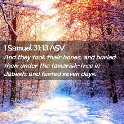 Picture 02 - 1 Samuel 31:13 ASV - And they took their bones, and buried them under - Bible Verse Picture