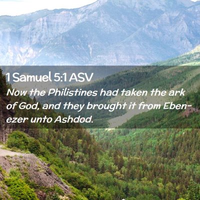 Picture 02 - 1 Samuel 5:1 ASV - Now the Philistines had taken the ark of God, and - Bible Verse Picture