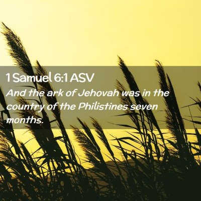 Picture 02 - 1 Samuel 6:1 ASV - And the ark of Jehovah was in the country of the - Bible Verse Picture