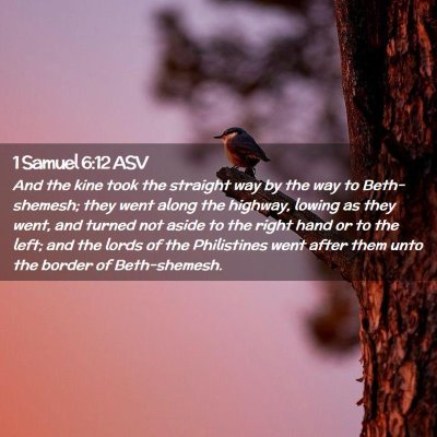 Picture 02 - 1 Samuel 6:12 ASV - And the kine took the straight way by the way to - Bible Verse Picture